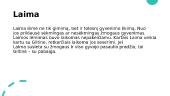 Laima - moteriška mitinė butybė 2 puslapis
