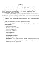 Grindų plytelių įrengimo technologinė kortelė 3 puslapis