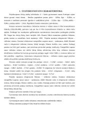 Grindų plytelių įrengimo technologinė kortelė 4 puslapis