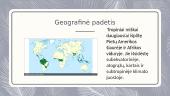 Geografinės zonos (Tropiniai miškai)  2 puslapis