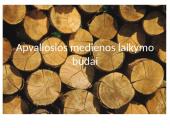 Apvaliosios medienos laikymo būdai