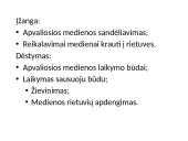 Apvaliosios medienos laikymo būdai 2 puslapis