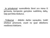 Apvaliosios medienos laikymo būdai 11 puslapis