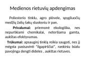 Apvaliosios medienos laikymo būdai 12 puslapis
