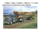 Apvaliosios medienos laikymo būdai 15 puslapis
