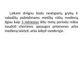 Apvaliosios medienos laikymo būdai 18 puslapis