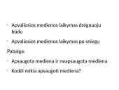 Apvaliosios medienos laikymo būdai 3 puslapis