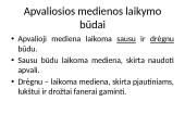 Apvaliosios medienos laikymo būdai 6 puslapis