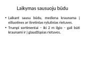 Apvaliosios medienos laikymo būdai 7 puslapis