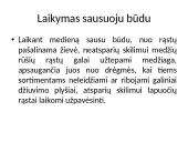 Apvaliosios medienos laikymo būdai 8 puslapis