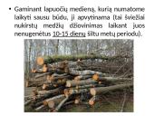 Apvaliosios medienos laikymo būdai 9 puslapis