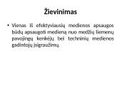 Apvaliosios medienos laikymo būdai 10 puslapis