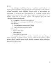 Divergentinis mąstymas 2 puslapis