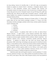 Divergentinis mąstymas 4 puslapis