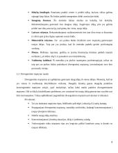 Divergentinis mąstymas 7 puslapis