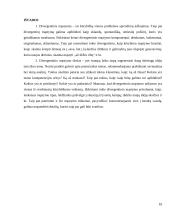 Divergentinis mąstymas 9 puslapis