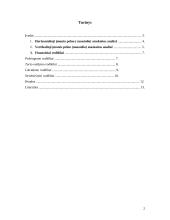 Firmos balanso ir pelno (nuostolio) ataskaitų analizė 2 puslapis