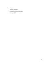 Firmos balanso ir pelno (nuostolio) ataskaitų analizė 13 puslapis