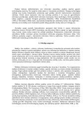 Televizijos perspektyva medijų lauke 5 puslapis