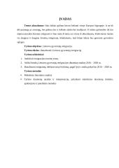 Lietuvos emigracijos statistinis tyrimas 3 puslapis