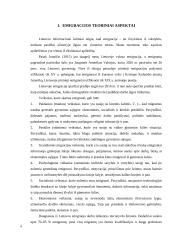 Lietuvos emigracijos analizė 4 puslapis