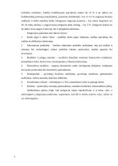 Lietuvos emigracijos analizė 5 puslapis