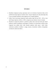 Lietuvos emigracijos analizė 8 puslapis