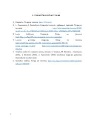 Lietuvos emigracijos analizė 9 puslapis