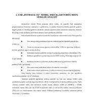 Įmonės analizė: UAB moteriškų drabužių siuvykla "Petras & Co" 12 puslapis