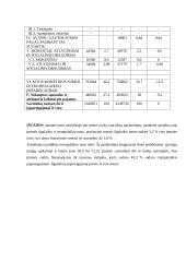 Įmonės finansai: UAB "Suprema" 3 puslapis