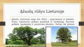 Ąžuolas Lietuvoje 3 puslapis
