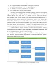 Baigiamoji praktika UAB „Panevėžio regiono atliekų tvarkymo centras“ 13 puslapis