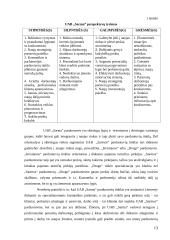 Įmonės rinkodaros analizė: UAB "Sarma" 13 puslapis