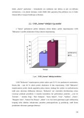 Įmonės rinkodaros analizė: UAB "Sarma" 14 puslapis