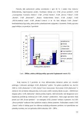 Įmonės rinkodaros analizė: UAB "Sarma" 15 puslapis