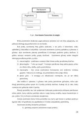 Įmonės rinkodaros analizė: UAB "Sarma" 20 puslapis