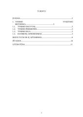 Aš vaizdo ypatybių įvertinimas taikant dvidešimties pasisakymų testą (tyrimas) 2 puslapis