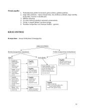 Pirmoji pagalba nukentėjusiam rašto darbas 14 puslapis