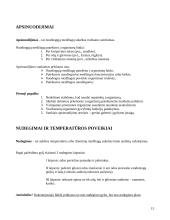 Pirmoji pagalba nukentėjusiam rašto darbas 15 puslapis