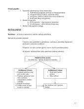 Pirmoji pagalba nukentėjusiam rašto darbas 17 puslapis