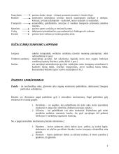 Pirmoji pagalba nukentėjusiam rašto darbas 4 puslapis