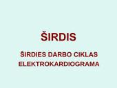 Širdis. Širdies darbo ciklas. Elektrokardiograma