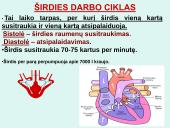 Širdis. Širdies darbo ciklas. Elektrokardiograma 11 puslapis