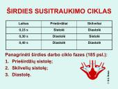 Širdis. Širdies darbo ciklas. Elektrokardiograma 13 puslapis