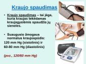 Širdis. Širdies darbo ciklas. Elektrokardiograma 14 puslapis