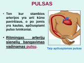 Širdis. Širdies darbo ciklas. Elektrokardiograma 16 puslapis