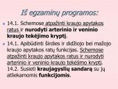 Kraujo apytaka 2 puslapis