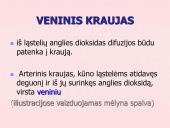Kraujo apytaka 15 puslapis
