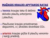 Kraujo apytaka 16 puslapis