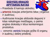 Kraujo apytaka 17 puslapis